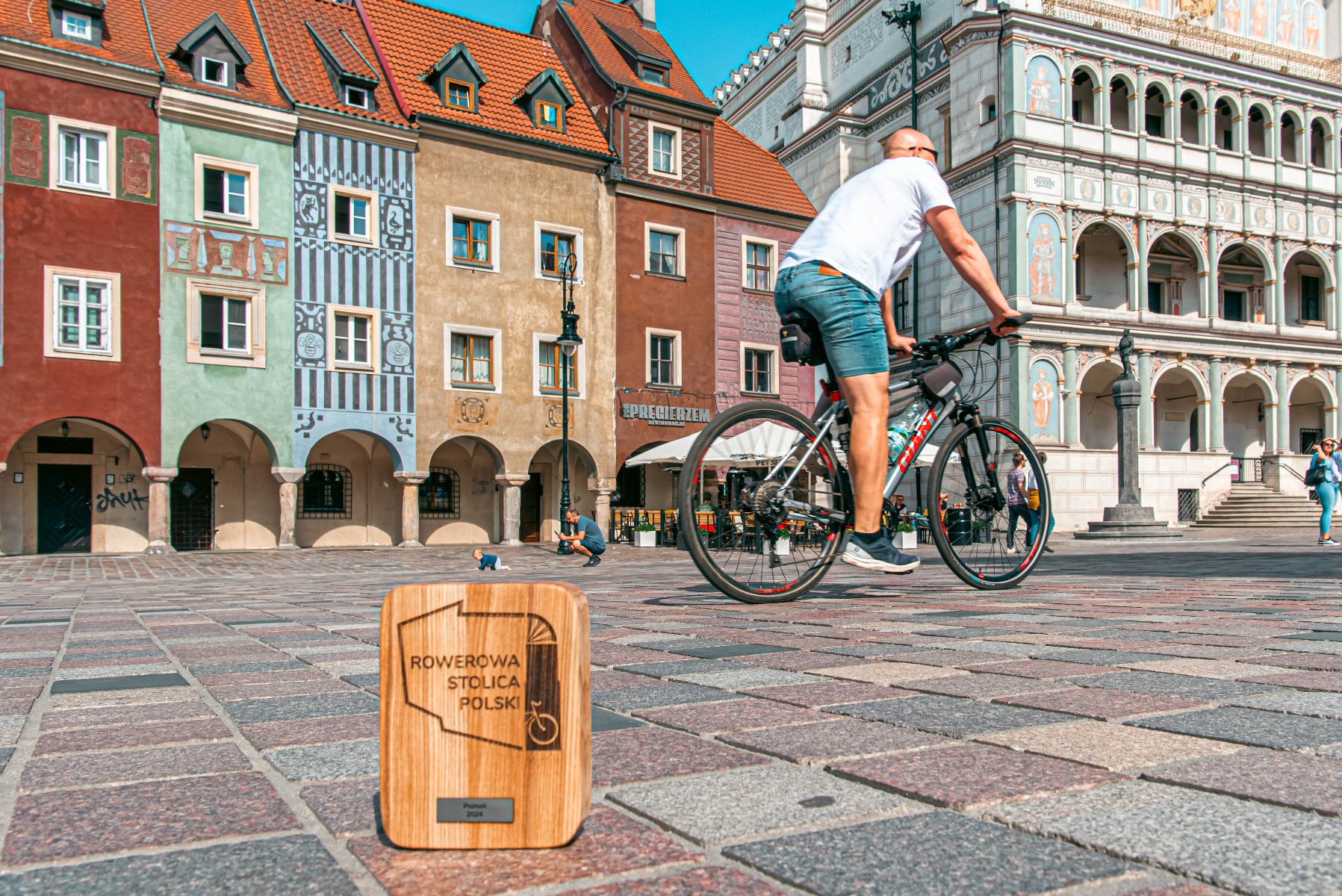 Tamaryszek pokrywa się tysiącami drobnych różowych kwiatów.