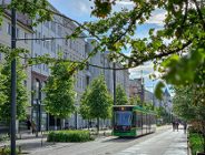 Tramwaj linii nr 9 na ulicy 27 Grudnia