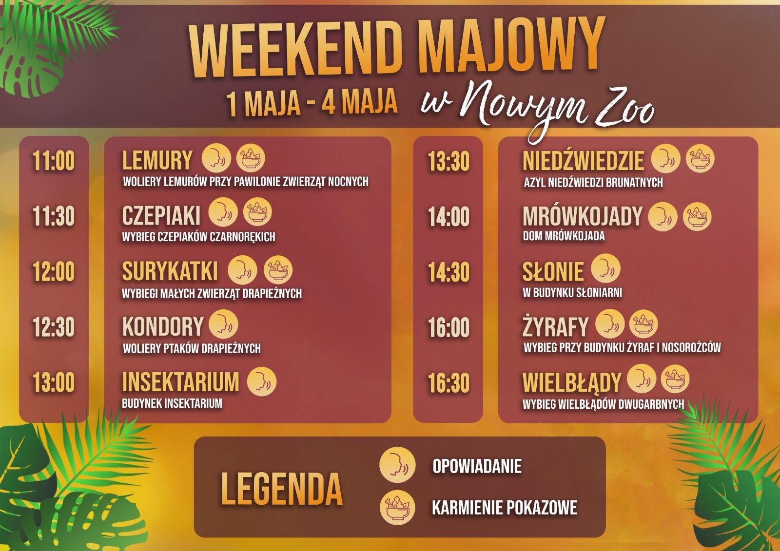 Trzy kapibary spacerują po zielonym trawniku. W tle drewniane ogrodzenie i zielone krzaki.