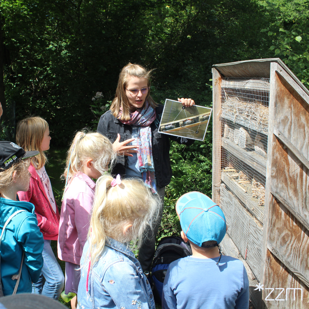 Uczestnicy zajęć mogą odkryć faunę i florę parków