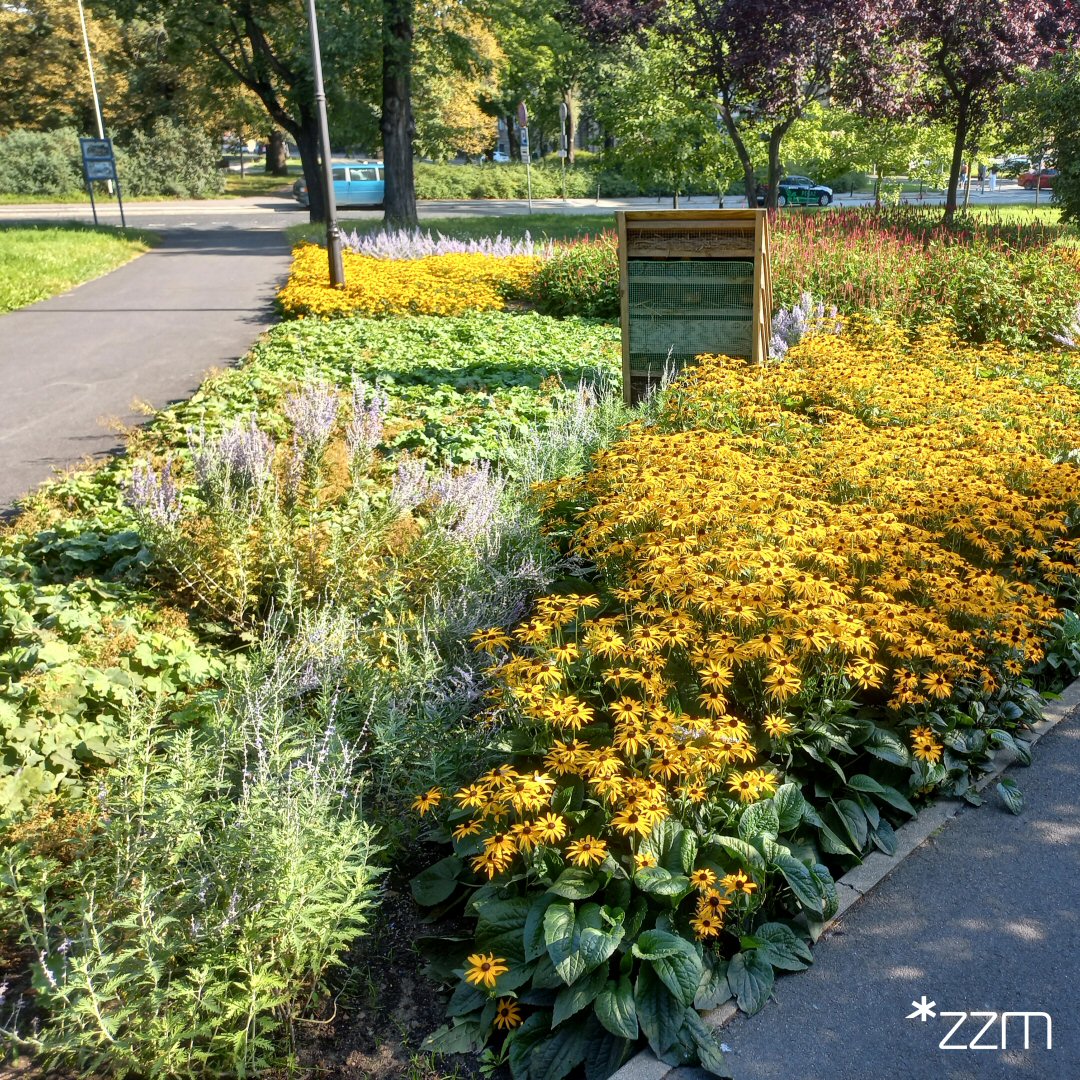 W Parku Marcinkowskiego powstała rabata bylinowa o powierzchni ok. 2 arów, która nie tylko upiększa przestrzeń zieloną, ale pełni również ważną funkcję ekologiczną