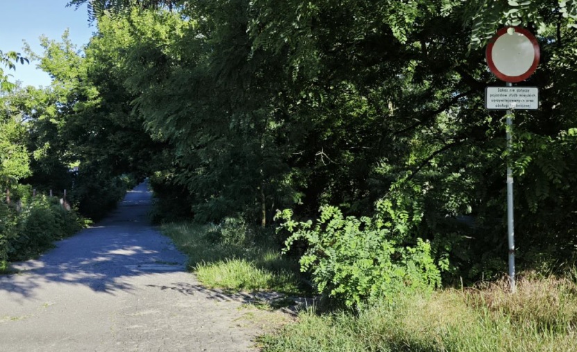 wąska droga otoczona drzewa i krzewami, z boku znak zakazu wjazdu