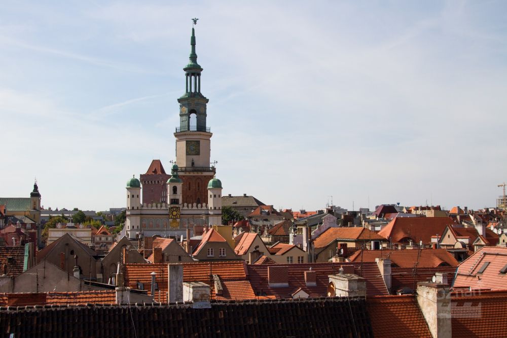 Widok na dachy poznańskiego starego miasta z dominującą wieżą ratusza.