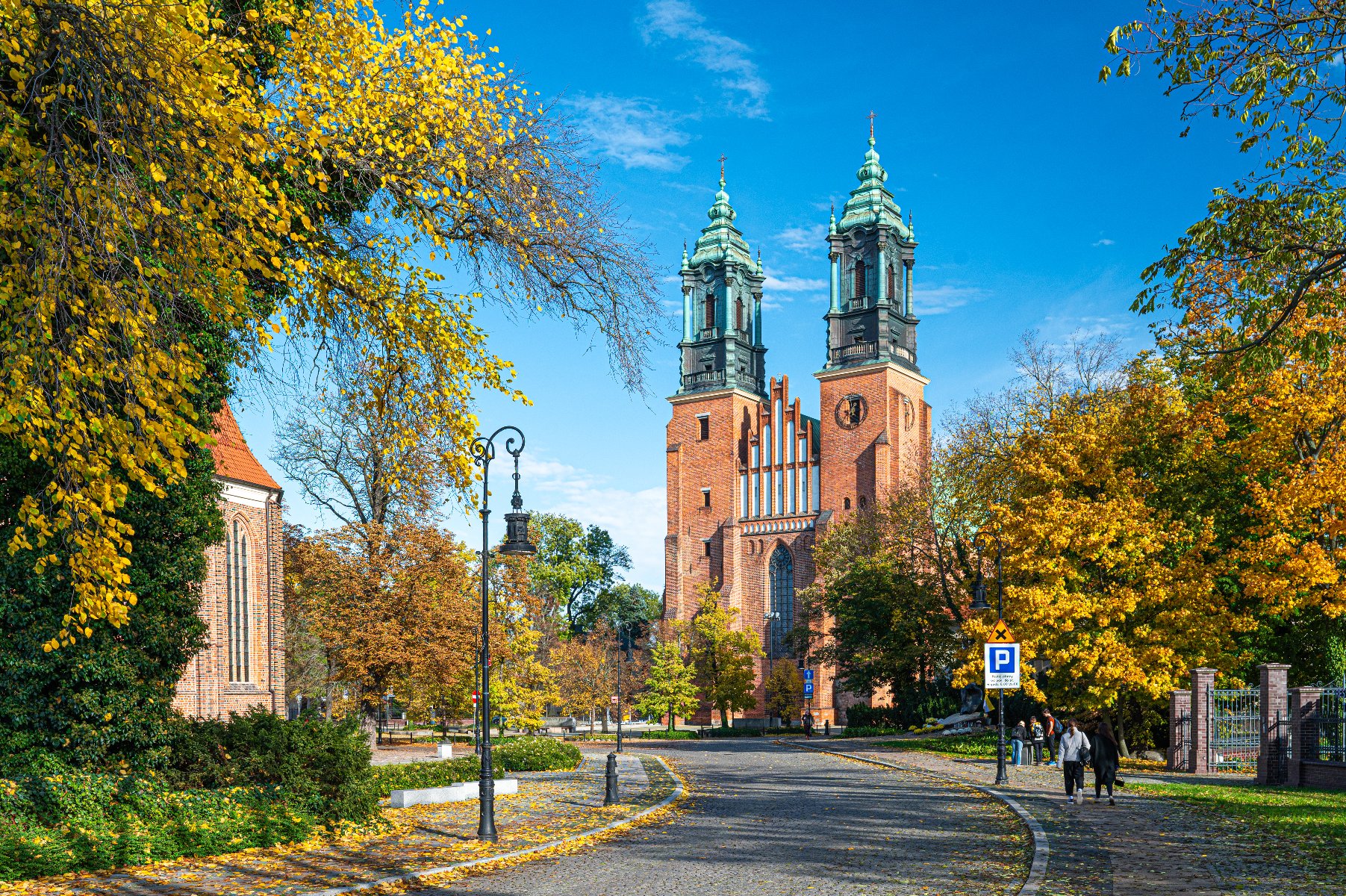 Widok na front Katedry na Ostrowie Tumskim, dookoła stare drzewa