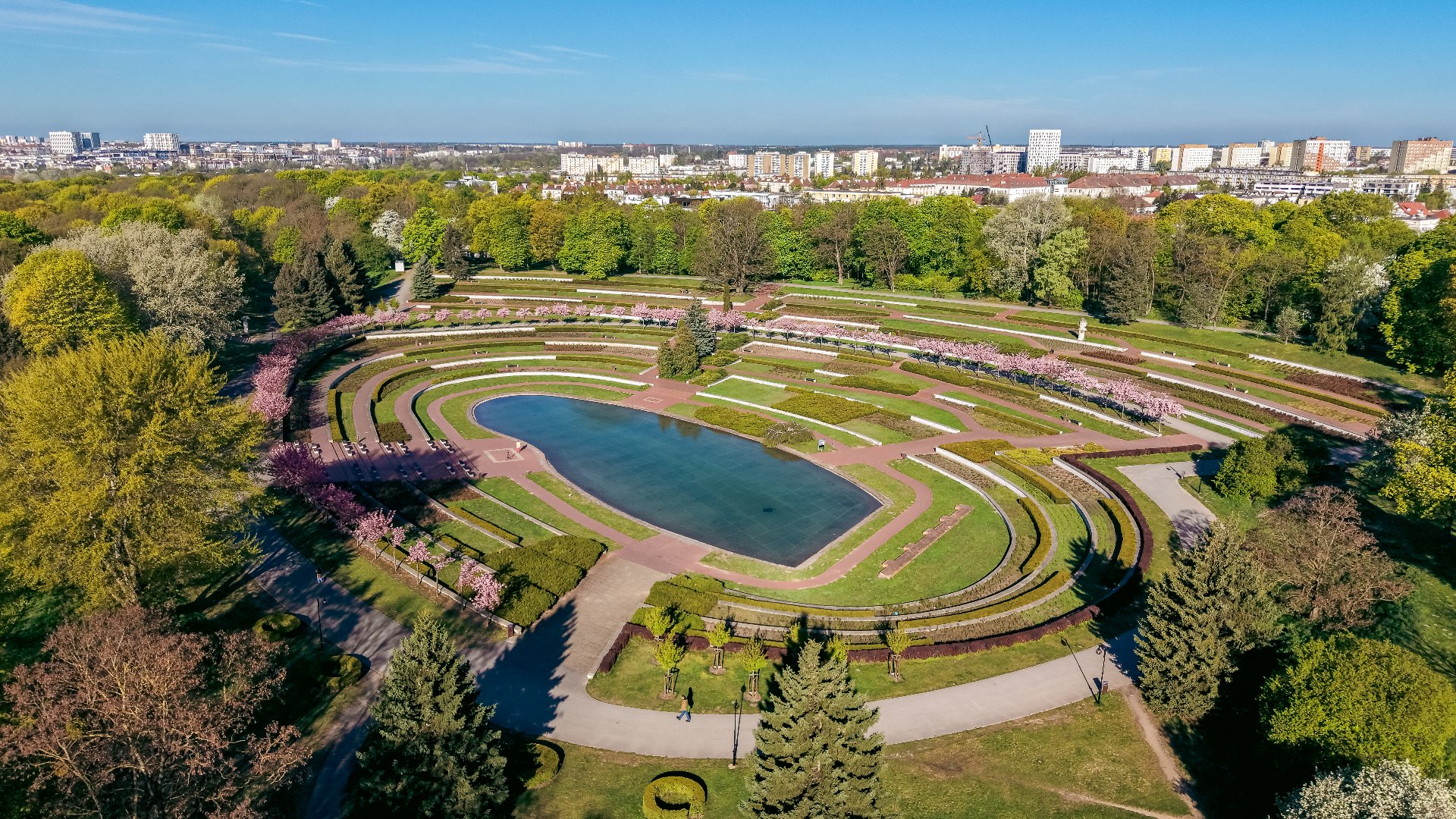 Widok z lotu ptaka na poznańskie Rosarium w parku Cytadela. W centrum kadru znajduje się podłużny staw otoczony ułożonymi tarasowo, półkolistymi alejkami, żywopłotami oraz kwitnącymi na różowo drzewami. W tle widoczna jest panorama Poznania z budynkami mieszkalnymi i biurowcami pod czystym, niebieskim niebem.