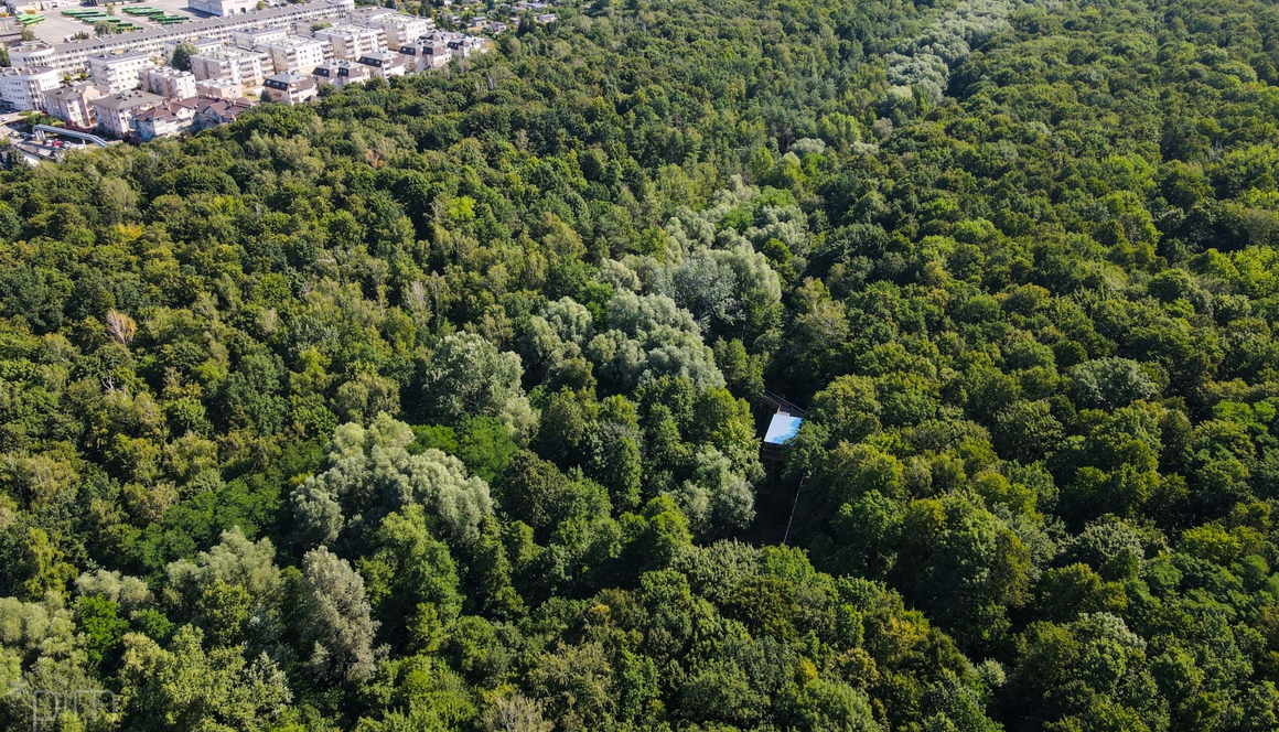 widok z lotu ptaka na tereny leśne, za nimi widać zabudowania - bloki mieszkalne