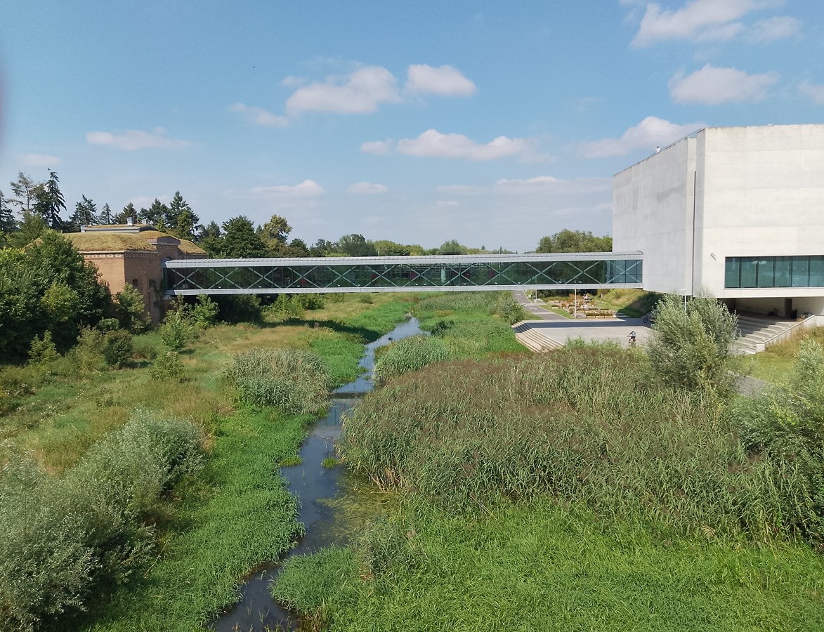 widok z mostu na rzekę mocno zarośniętą roślinnością