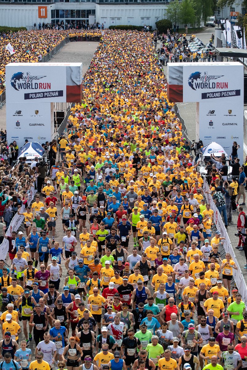 Wings for Life 2022, fot. Damian Kramski - tłum ludzi w różnokolorowych koszulkach przebiega przez białą bramę. Wokół widać kibiców dopingujących uczestnikom