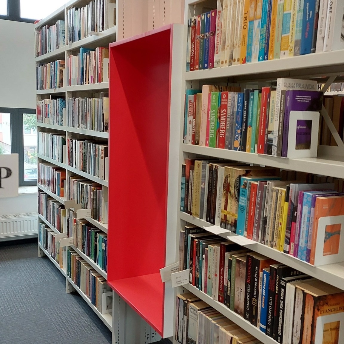 wnętrze biblioteki, fragment półek z książkami