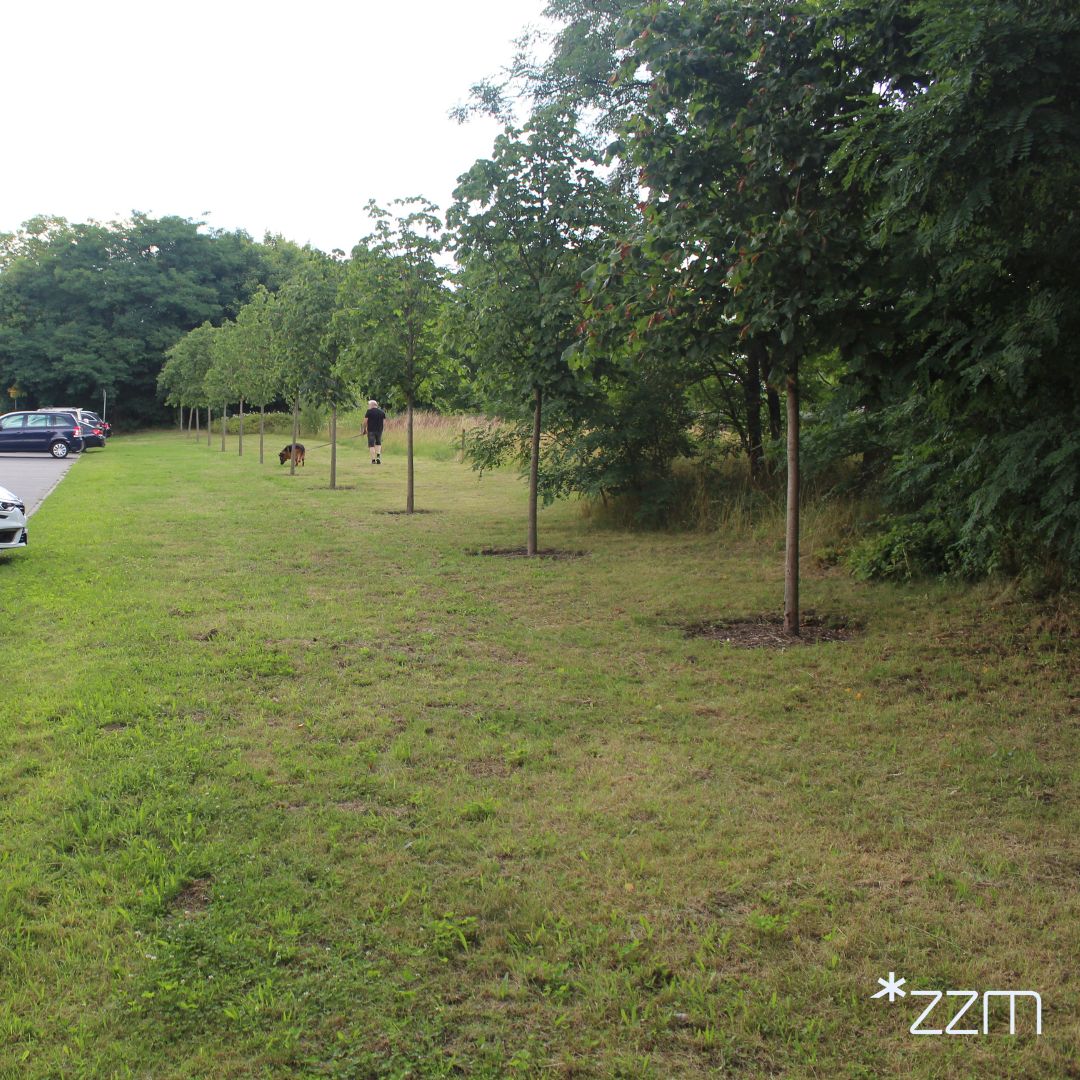 Wybieg dla psów powstanie przy zbiegu ulic Dukielskiej i Druskiennickiej