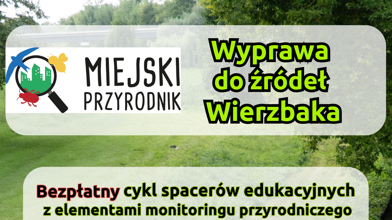 Wyprawa do źródeł Wierzbaka