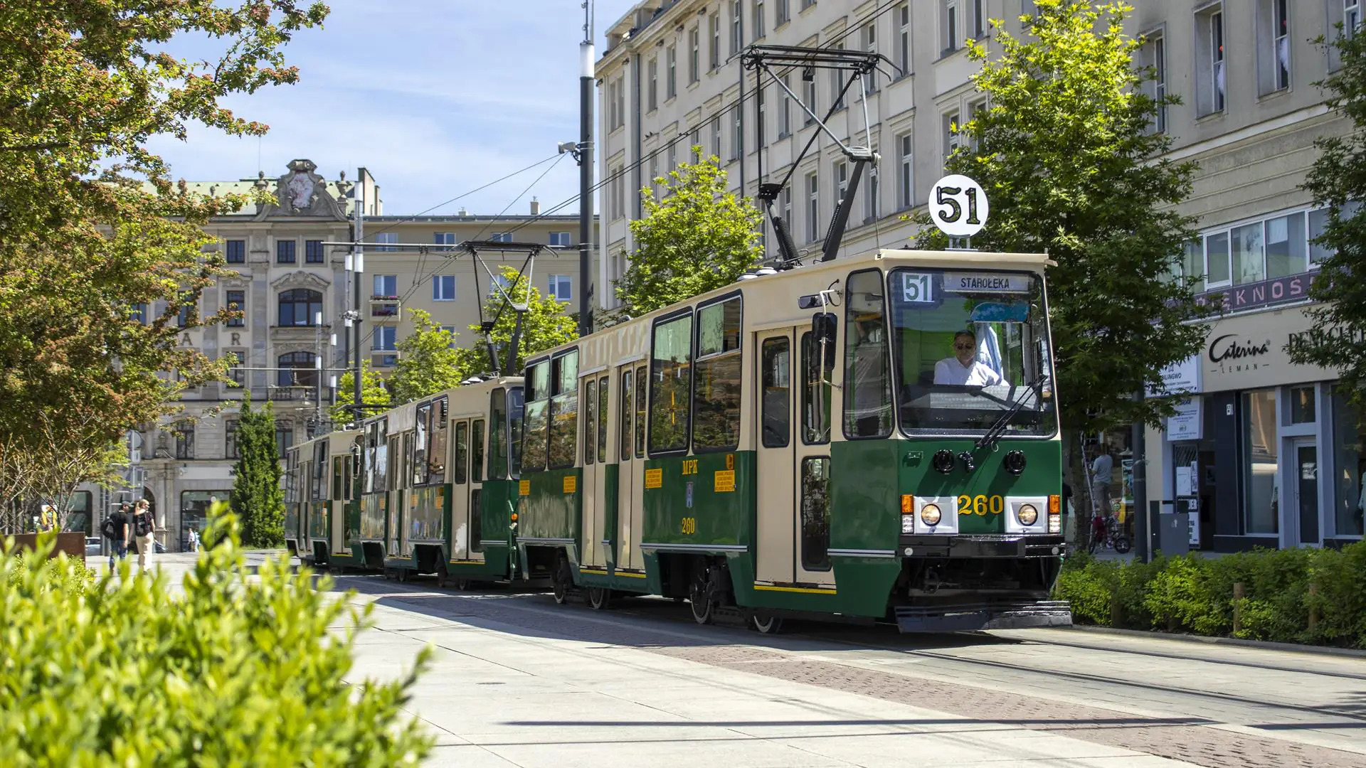Zabytkowy, zielono-kremowy tramwaj składający się z trzech wagonów (potrójny skład typu Konstal 102Na lub pokrewny, z numerem taborowym 260 na czele) jedzie torowiskiem w centrum miasta. Pojazd obsługuje linię numer 51 w kierunku Starołęki, mijając miejskie kamienice, zieleń oraz witryny sklepowe.