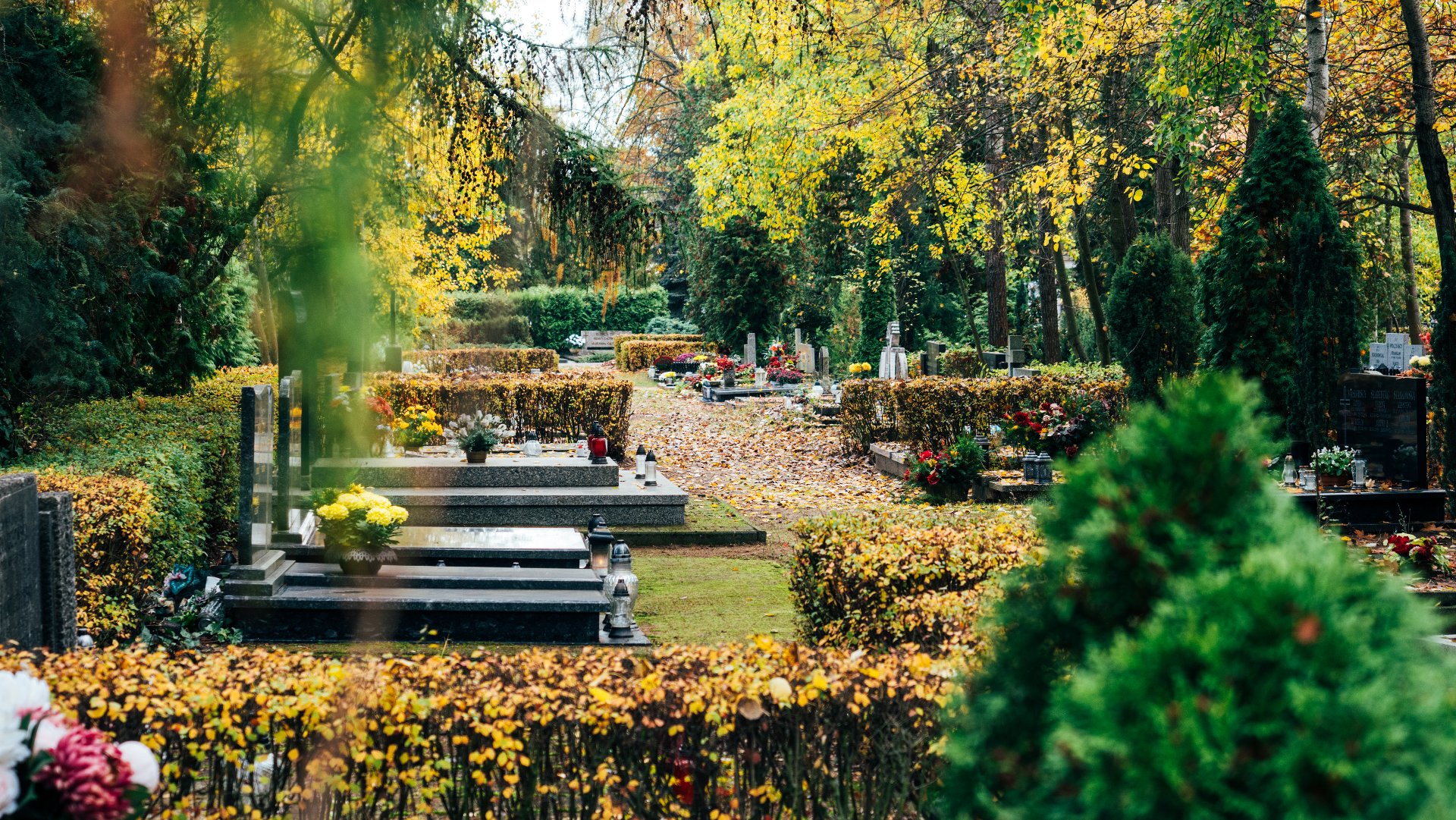 Zdjęcie cmentarza jesienią