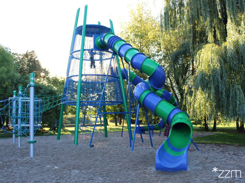 Zdjęcie przedstawia