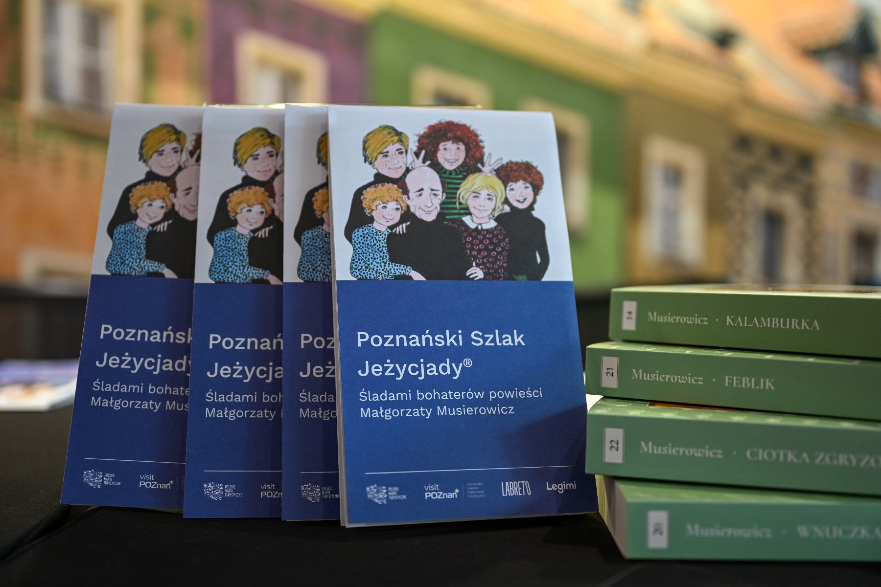 Zdjęcie przedstawia bruszurki i książki leżace na stole.