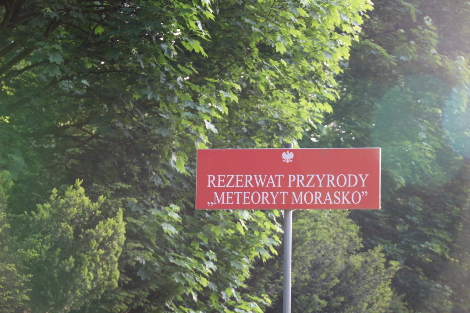 Zdjęcie przedstawia czerwoną tablicę urzędową z napisem REZERWAT PRZYRODY "METEORYT MORASKO". W tle widać zielone liście drzew.