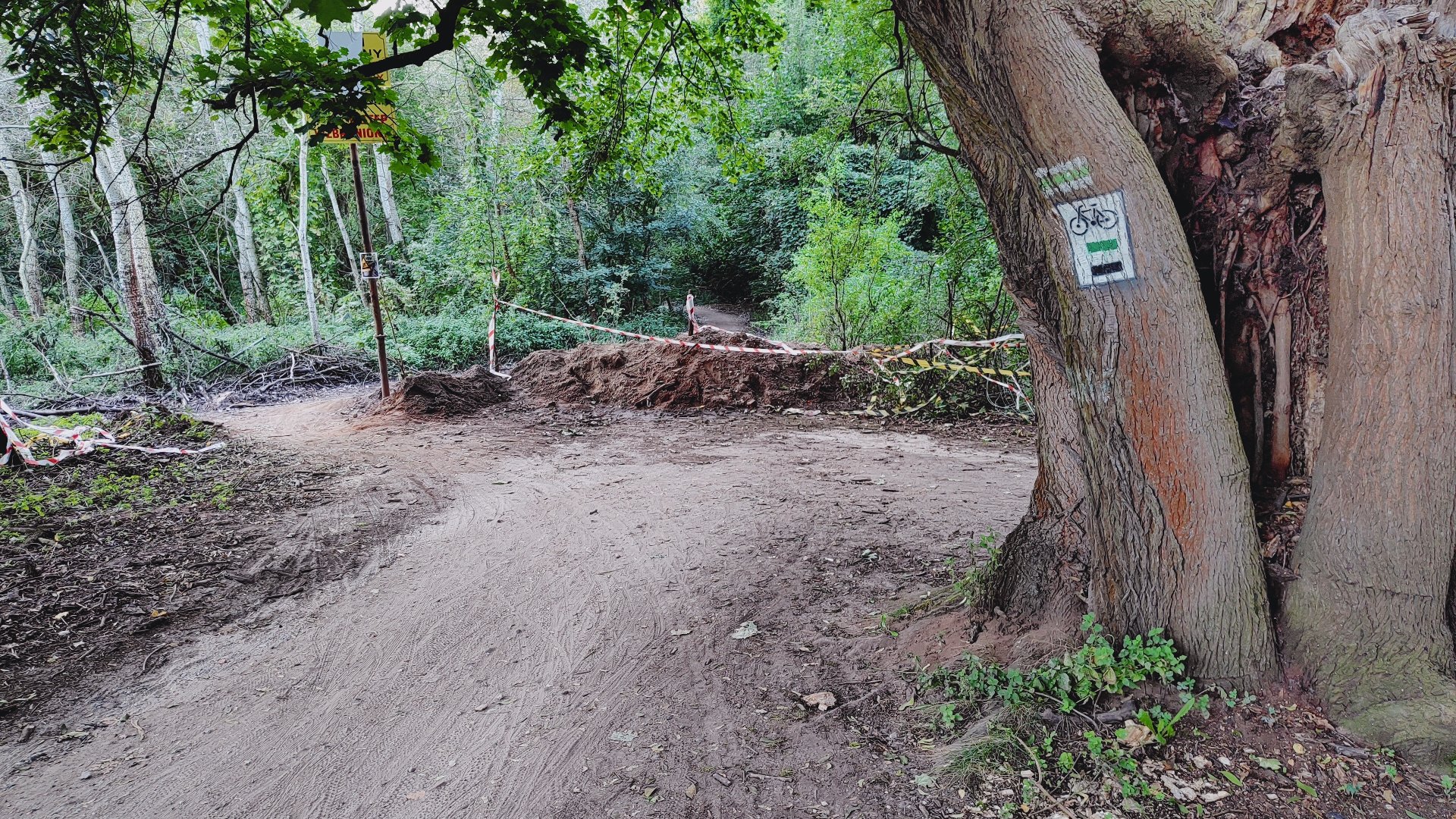 Zdjęcie przedstawia dorgę dla rowerów przechodzącą przez tereny leśne w okolicach Bogdanki. Na pierwszym planie po prawej stronie znajduje się znacznych rozmiarów drzewo, z oznakowaniem drogi rowerowej. W głębi widać pozostałości po pracach ziemnych na tym terenie