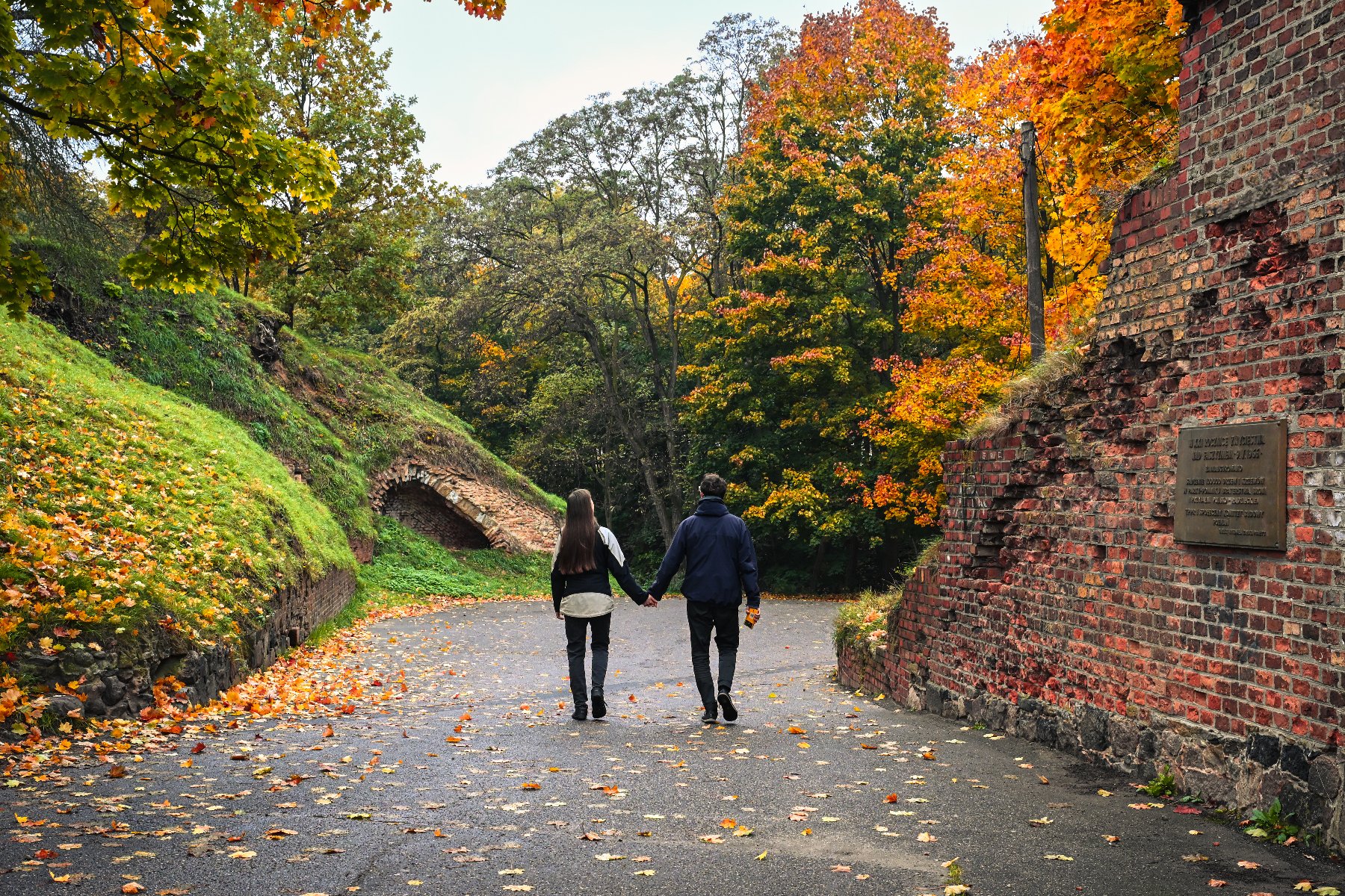 Zdjęcie przedstawia drzewa i leżące na ziemi liście. W oddali widać Dzwon Pokoju.