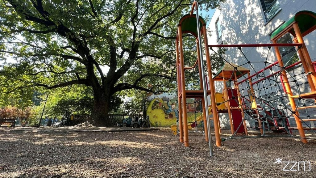 Zdjęcie przedstawia drzewo oraz element zabawowy - domek ze ślizgawką oraz siatkami i drabinkami do wspinania.