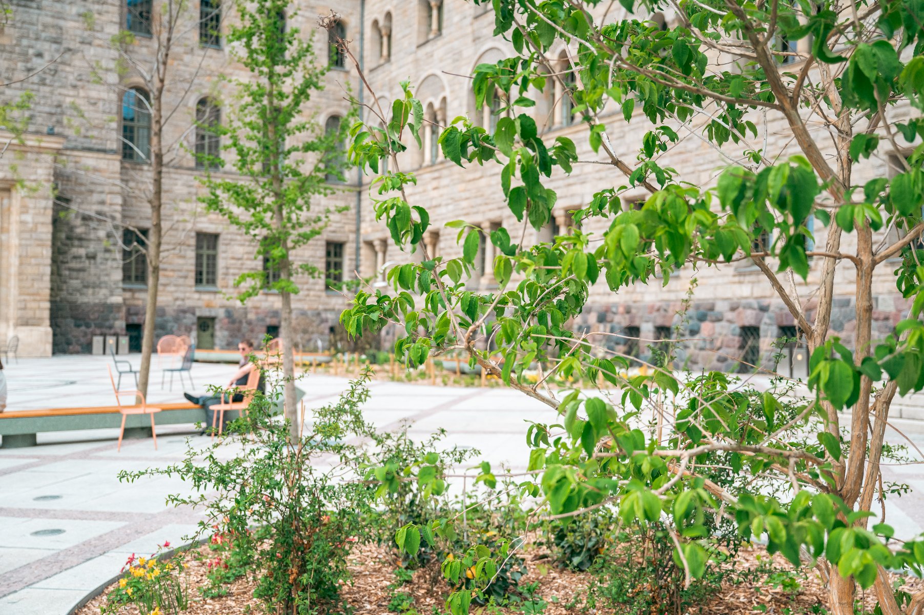 Zdjęcie przedstawia dziedziniec Zamku Cesarskiego w Poznaniu (Centrum Kultury Zamek) w słoneczny dzień. Na pierwszym planie widać zielone krzewy i młode drzewa rosnące na rabatach wysypanych korą. W tle znajduje się monumentalna, kamienna elewacja zamku z charakterystycznymi neoromańskimi łukami i oknami. Na jasnym placu ustawione są nowoczesne, pomarańczowe krzesła, na których siedzi kilka osób odpoczywających w cieniu.