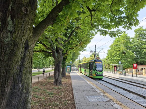 Zdjęcie przedstawia jadący tramwaj, mijający przystanek oraz drzewa