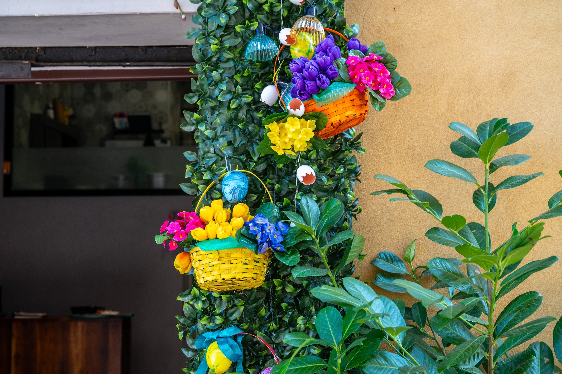 Zdjęcie przedstawia kolorową dekorację wielkanocną na zewnętrznej ścianie budynku. Pionowa kolumna pokryta sztucznym gęstym bluszczem została ozdobiona plecionymi koszyczkami wypełnionymi jaskrawymi kwiatami: żółtymi tulipanami oraz fioletowymi i różowymi prymulkami. Pomiędzy koszyczkami zawieszono kolorowe pisanki oraz białe skorupki jajek, a także dekoracyjne lampki.