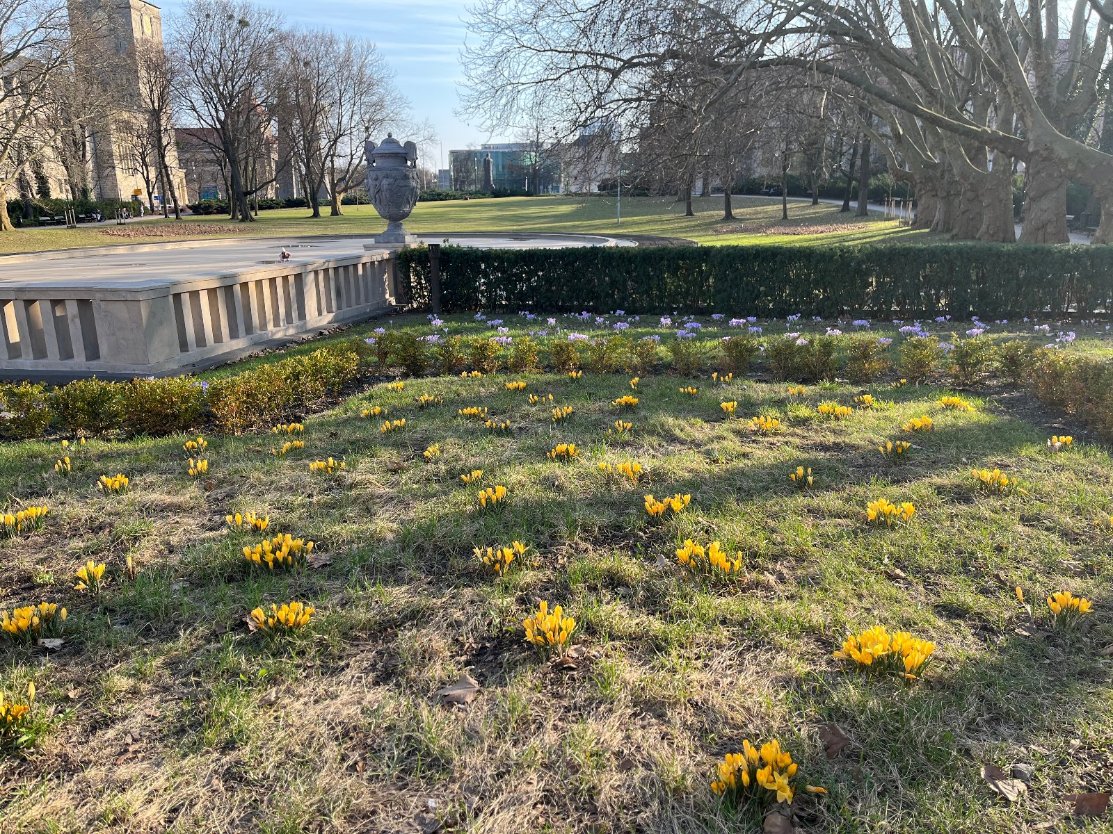 Zdjęcie przedstawia krajobraz parku Sołackiego z drzewami, pośród których znajduje się staw.