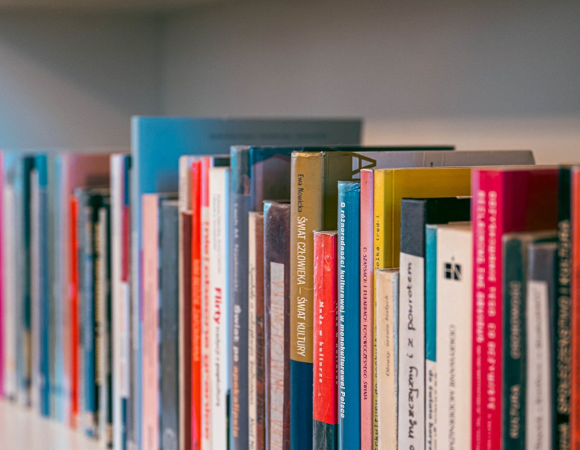 Zdjęcie przedstawia książki na półce.