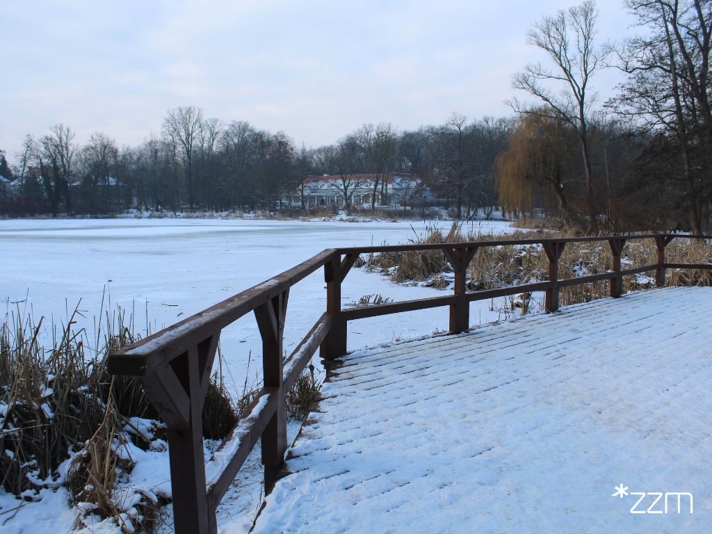 Zdjęcie przedstawia lód na stawie. Widać też drzewa i fragment pomostu.