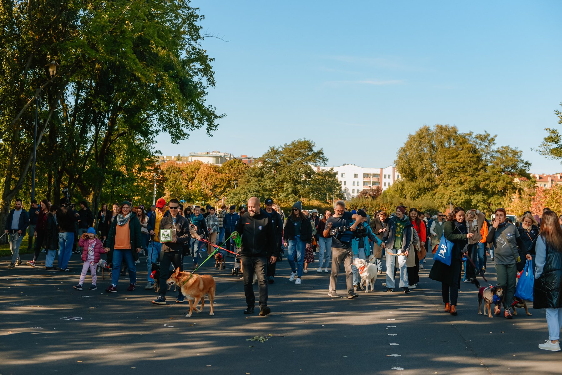 Zdjęcie przedstawia małego psa z chustą przewiązaną na szyi.