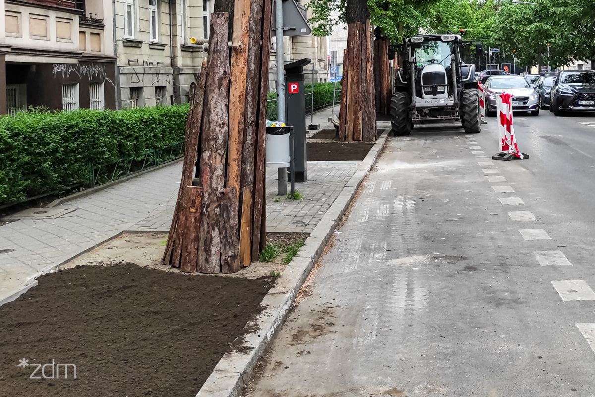 Zdjęcie przedstawia miejską ulicę w trakcie prac porządkowych lub ogrodniczych. Na pierwszym planie widać pas świeżej ziemi przygotowanej pod nasadzenia, a pnie drzew rosnących wzdłuż chodnika zostały zabezpieczone pionowymi deskami przed uszkodzeniami.