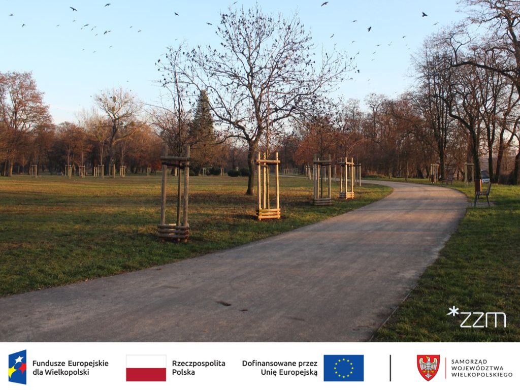 Zdjęcie przedstawia parkową alejkę, wzdłuż której posadzone są młode drzewa, stoją ławki i kosze na śmieci.