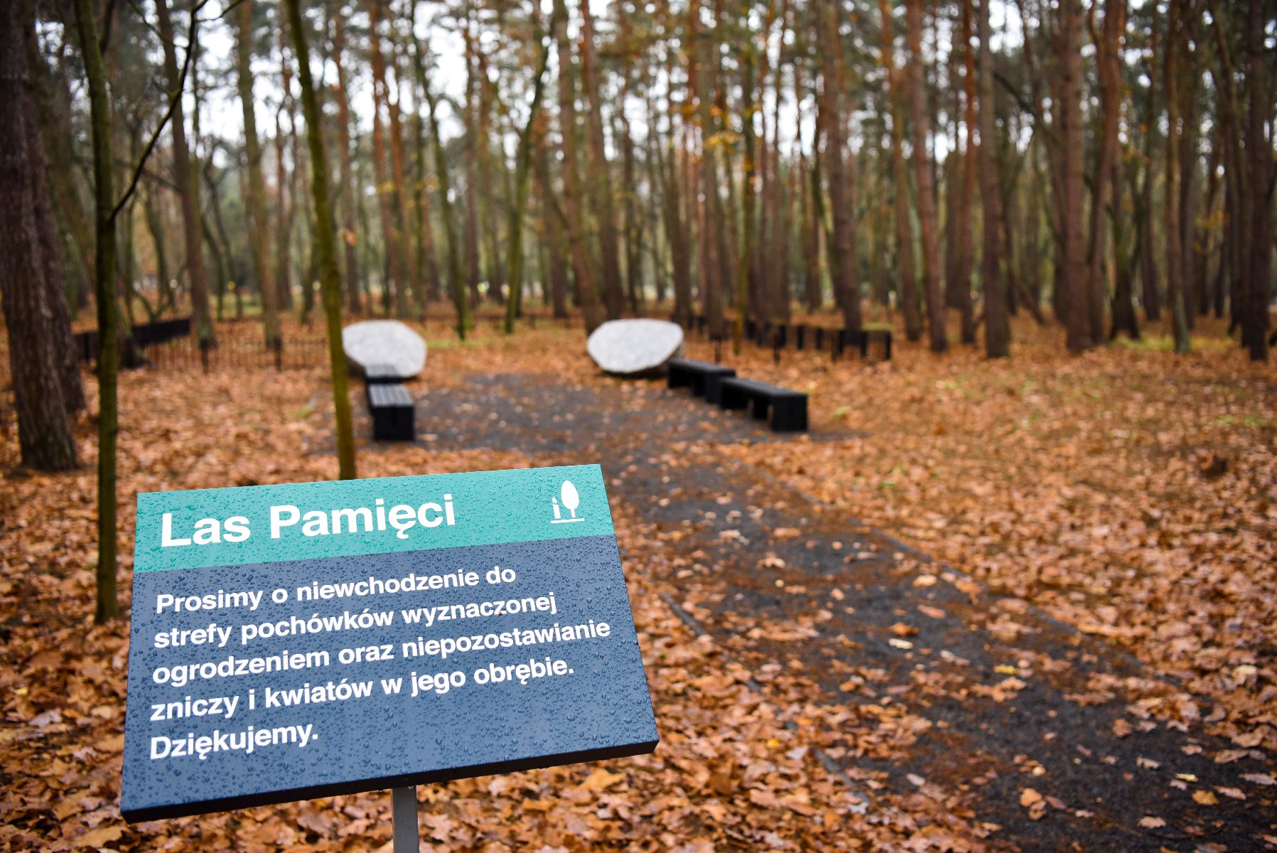 Zdjęcie przedstawia tablicę informacyjną na terenie Lasu Pamięci - ekologicznej kwatery na cmentarzu, usytuowanej w lesistym terenie.