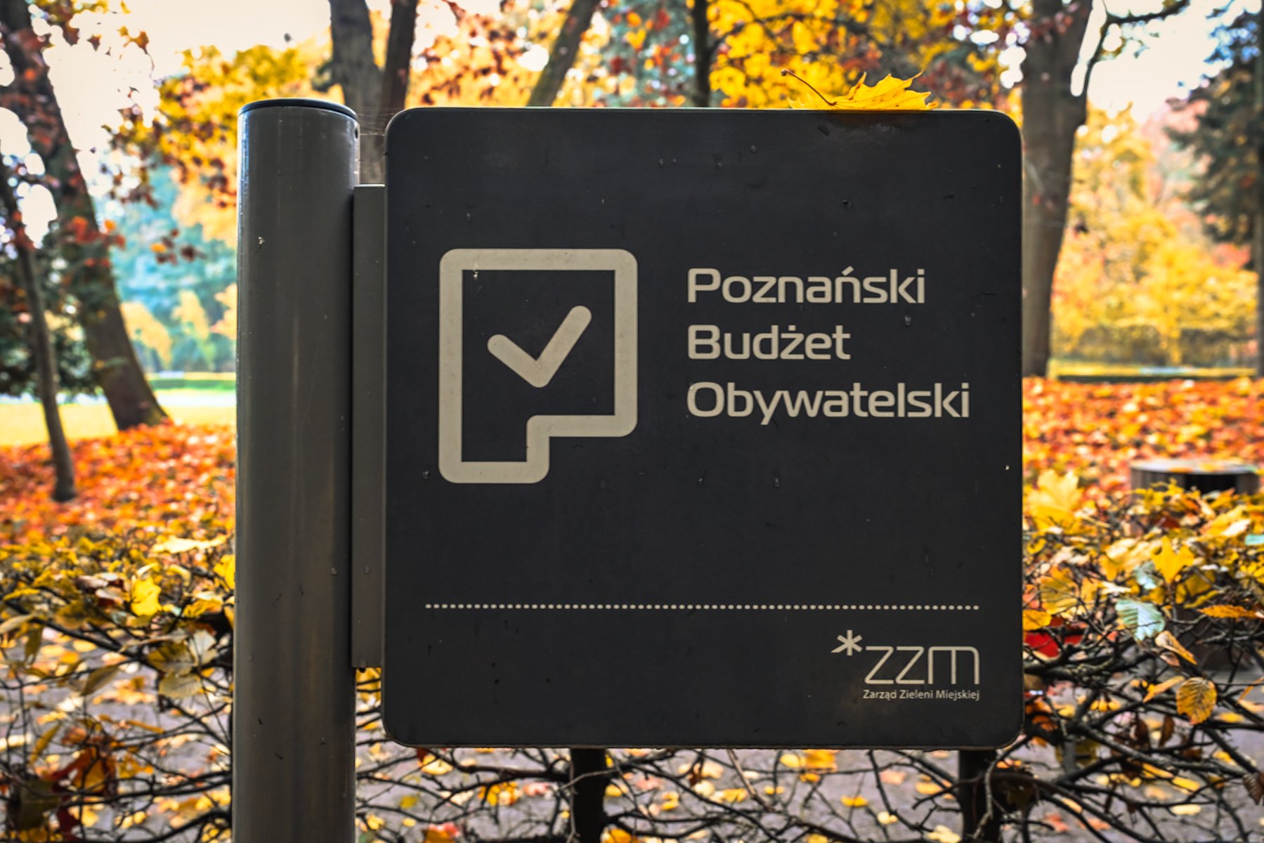 Zdjęcie przedstawia tabliczkę z napisem Poznański Budżet Obywatelski postawioną w parku wśród jesiennego krajobrazu, drzew i liści.