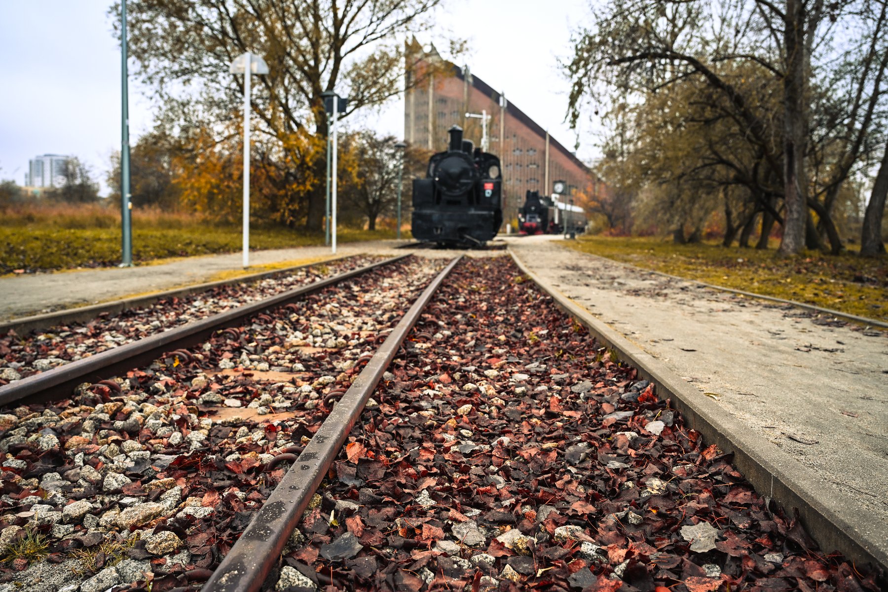 Zdjęcie przedstawia tory kolejowe i lokomotywę. Obok widać drzewa.