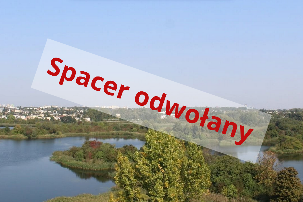 Zdjęcie przedstawia widok z wieży widokowej na panoramę miasta Poznań