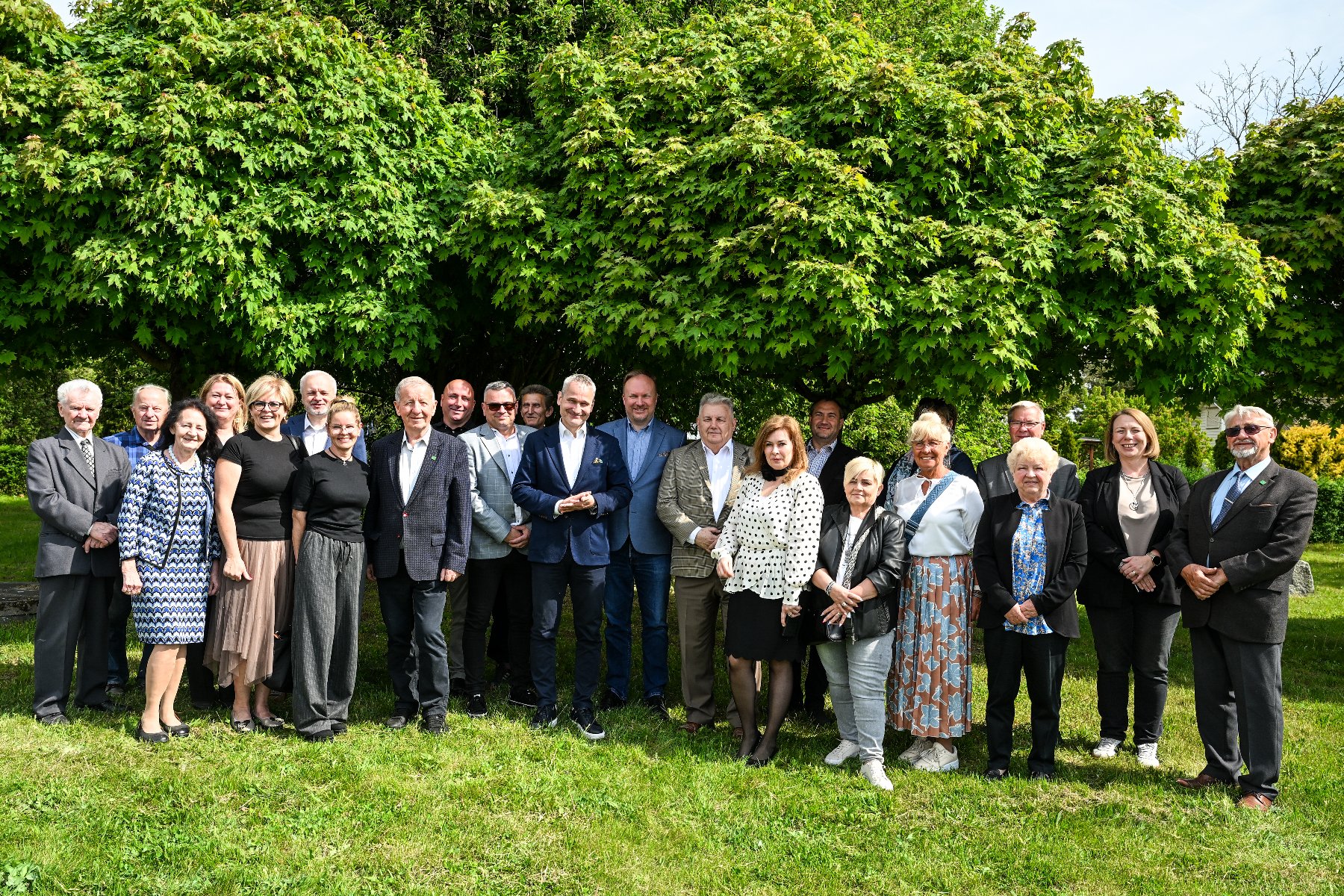 Zdjęcie przedstawia zieleń i ogrodzenie.