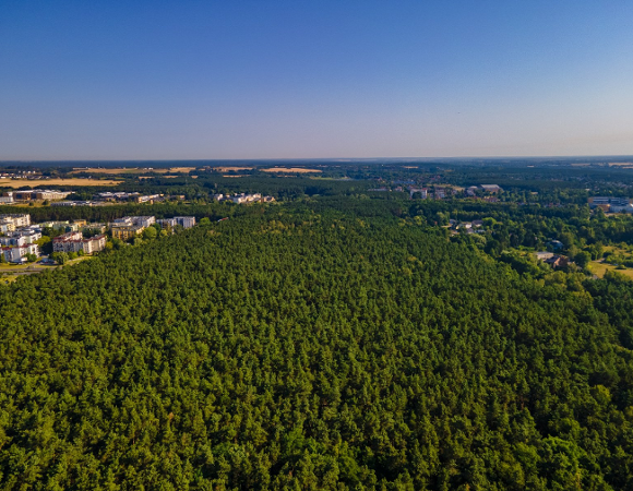 Zdjęcie przedstawia zieleń oraz budynki z lotu ptaka.