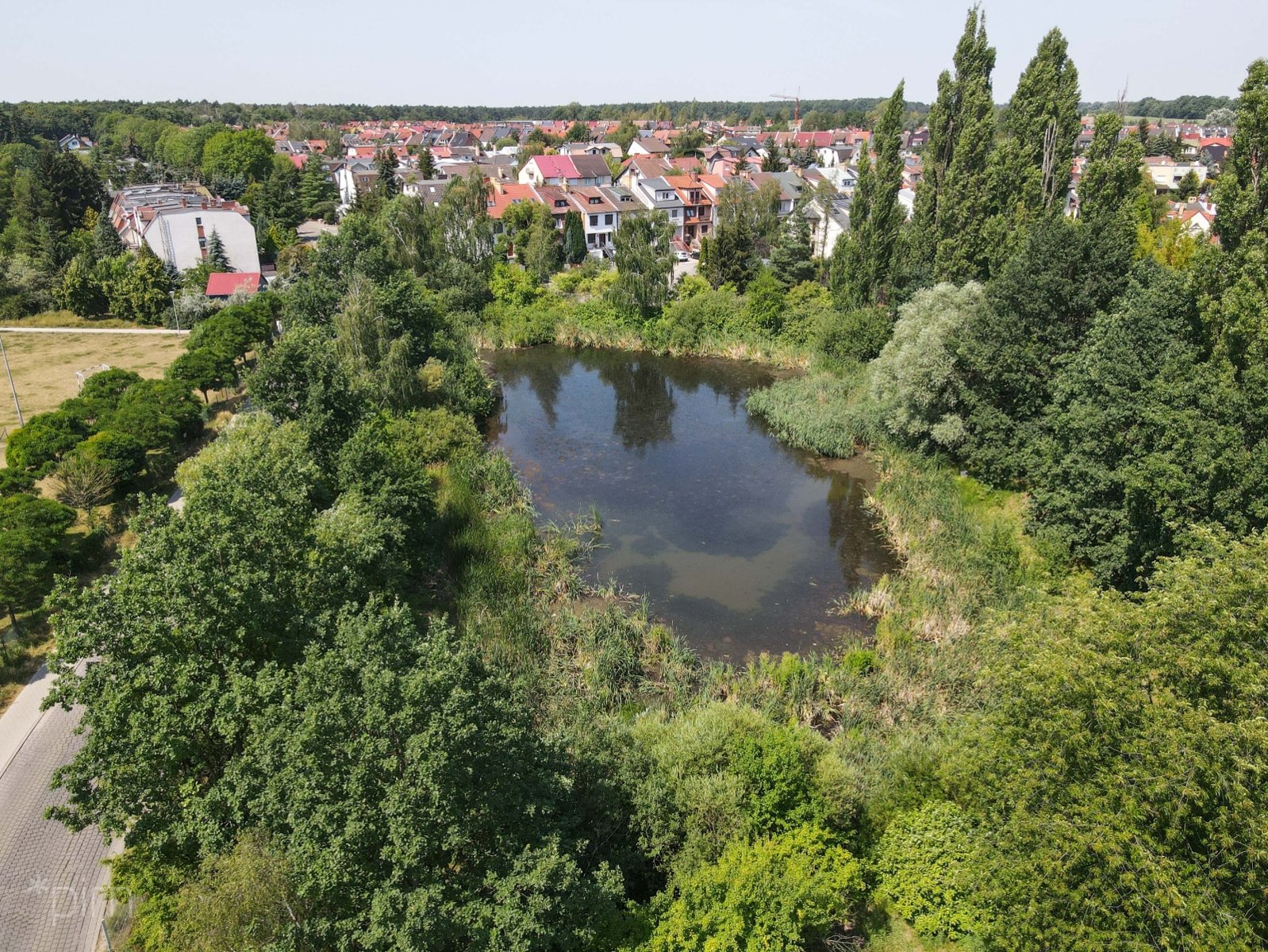 Zdjęcie ul. Krajeneckiej z domkami jednorodzinnymi. Na pierwszym planie zbiornik retencyjny, który będzie rozbudowany