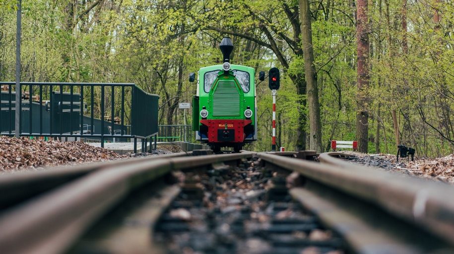 Zdjęcie wykonane z niskiej perspektywy torów kolejowych, przedstawiające zieloną lokomotywę spalinową wąskotorowej Kolejki Parkowej Maltanka w Poznaniu. Pojazd z czerwonym zderzakiem i czarnym kominem wyłania się z gęstego, zielonego lasu, jadąc w stronę odbiorcy. Po prawej stronie torów stoi biało-czerwony semafor ze świecącym czerwonym światłem, a po lewej widać fragment metalowego ogrodzenia peronu.