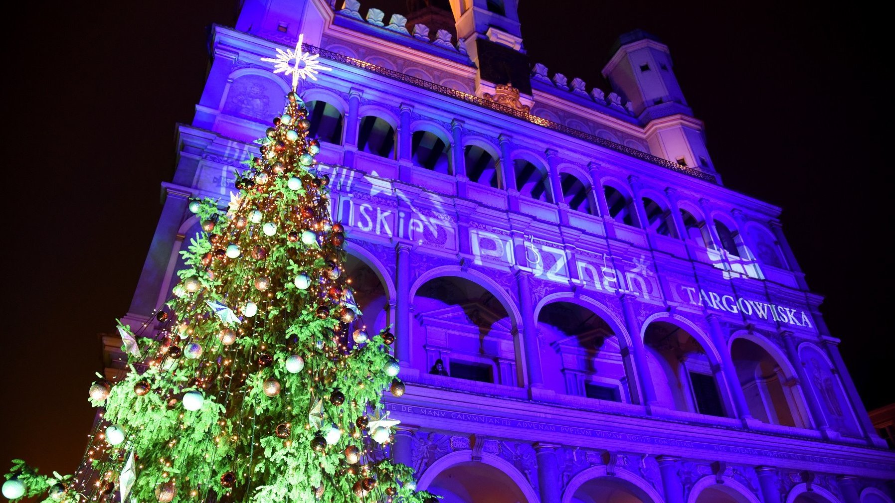 Zdjecie z dołu wysokiej zielonej choinki. Choinka jest ubrana w wiele bombek, łańcuchy a na szczycie ma gwiazdę. W tle rozświetlony na fioletowo budynek Ratusza.
