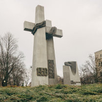 Pomnik w formie dużych betonowych krzyży oplecionych linami. Wokół drzewa oraz budynek Zamku w Poznaniu. Na pomniku widoczne są daty związane z wydarzeniami historycznymi tak zwanego "Czerwca 1956 roku" oraz późniejszych wystąpień w PRL-u.