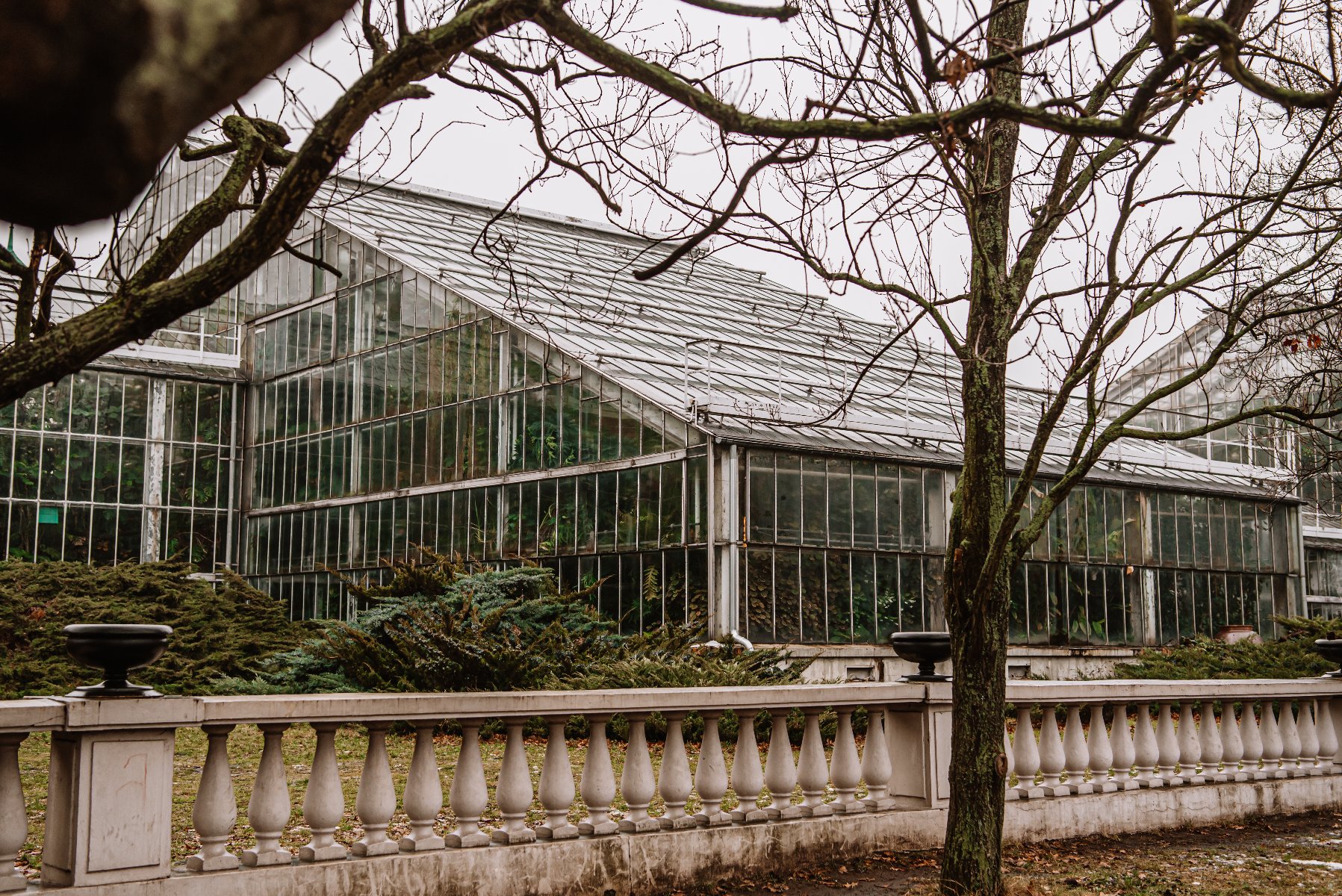 Zielony dom szklany z metalową konstrukcją za kamienną balustradą. Na pierwszym planie bezlistne drzewa i krzewy, co sugeruje, że może być jesień lub zima. Szklarnia ma pochylony dach i kilka sekcji z dużymi szklanymi panelami, pozwalającymi na widoczność roślin w środku. Scena jest ustawiona na zewnątrz, w ogrodzie lub parku.