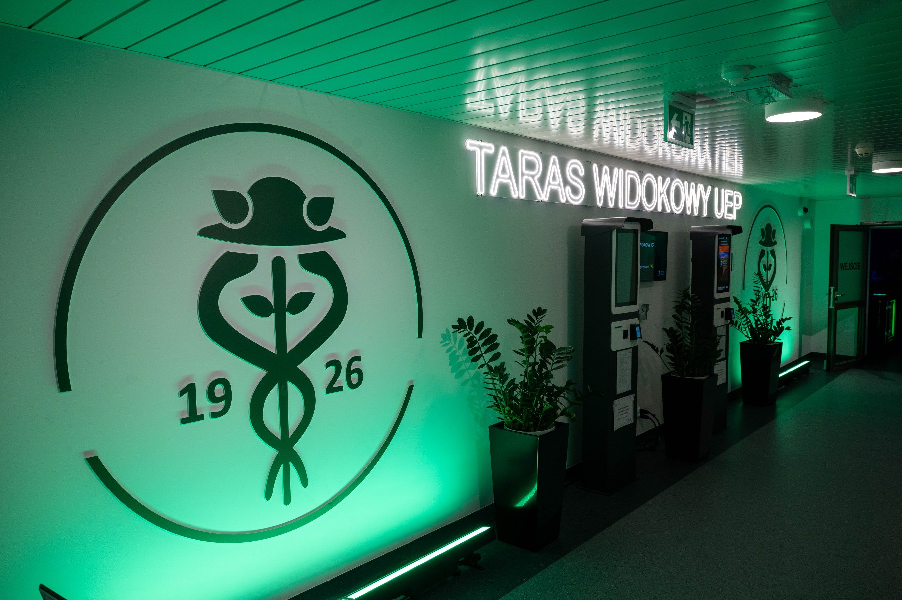 Zielony neonowy napis "TARAS WIDOKOWY UEP" na białej ścianie. Po lewej stronie duży, zielony emblemat z napisem "1926". Obok dwa doniczkowe rośliny.