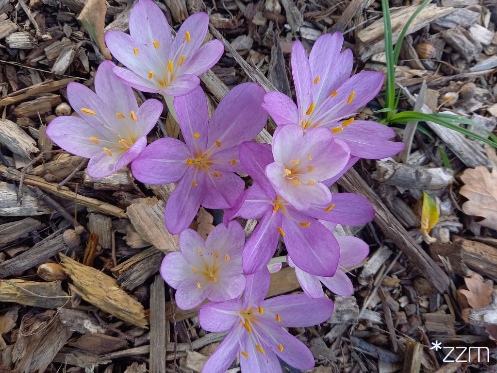 Ziemowit w Parku Mazowieckiego