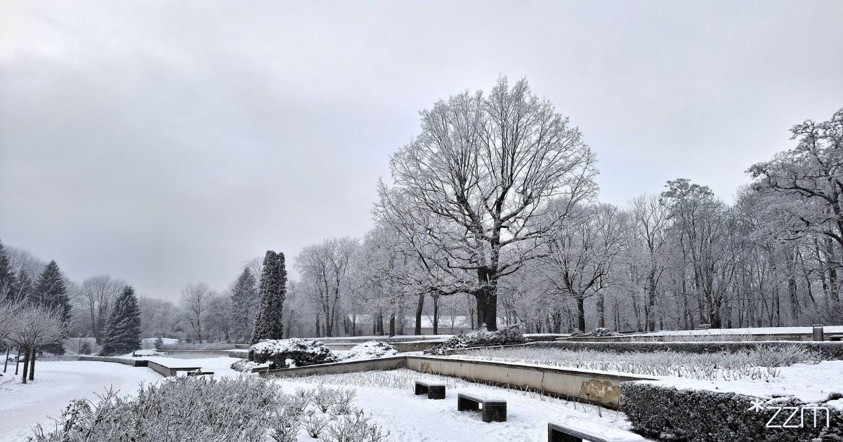 Zima w Parku Cytadela