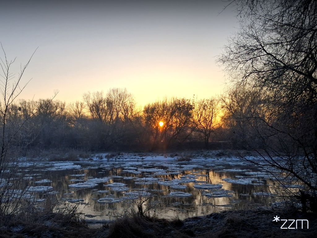 Zimowy poranek w Parku Szelągowskim
