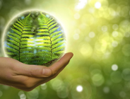 23 stycznia to Dzień bez Opakowań Foliowych. Świętuj go z nami!