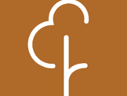 3 urodziny Parkrun Poznań