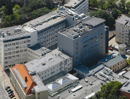 Antyrakowy dzień w WCO